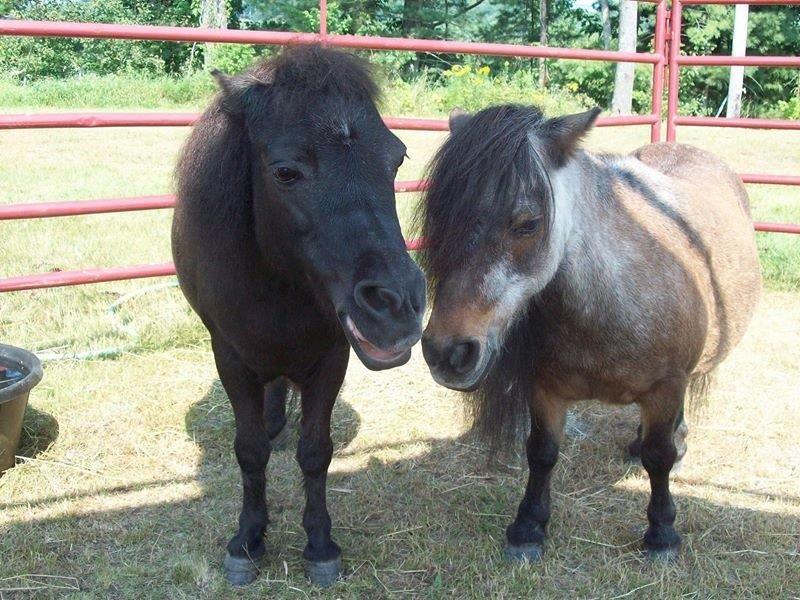 Cupcake and Becky Valentine