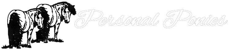PERSONAL PONIES, LTD. (New Hampshire)
