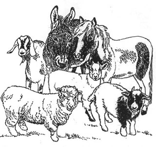 Photo of The Gang in Charlestown, NH